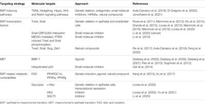 Epithelial-to-Mesenchymal Transition in Fibrosis: Concepts and Targeting Strategies